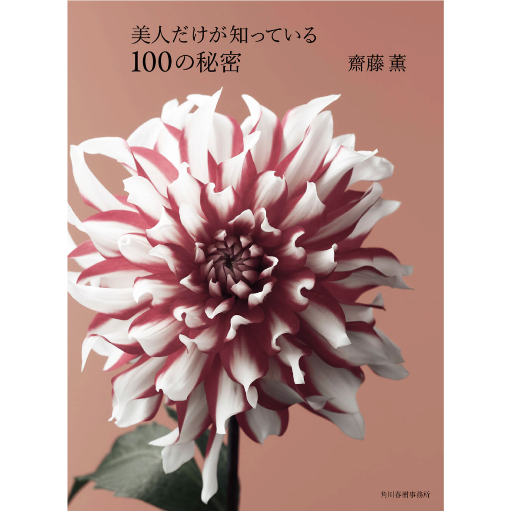 美人だけが知っている100の秘密